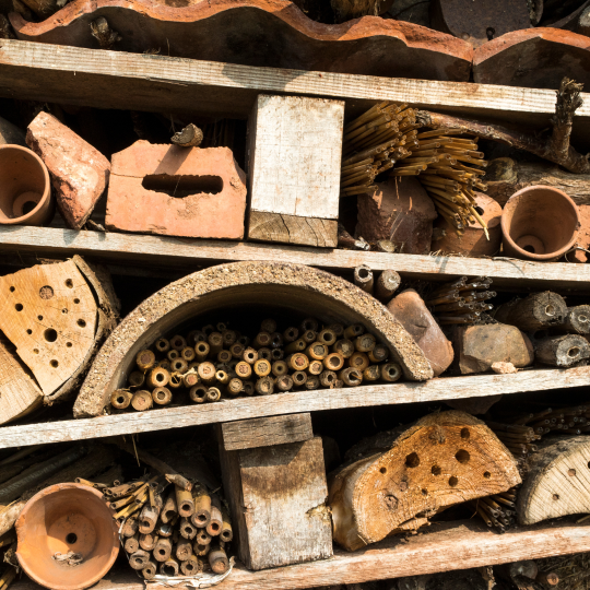 bug-hotel-540x540