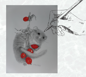 dormouse-299x269