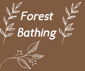 forest bathing