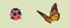 bees-bugs
