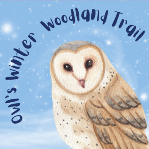 owls winter woodland trail