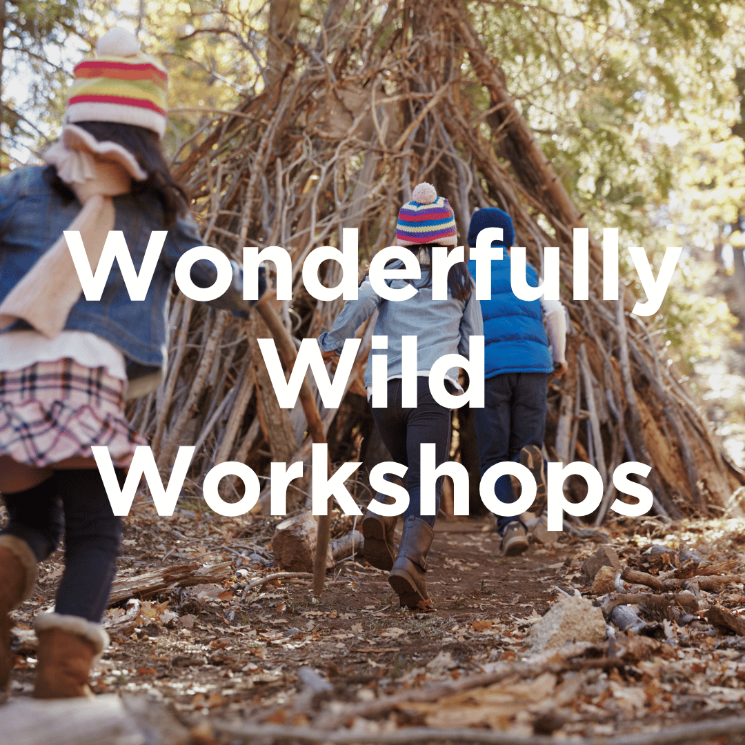 Children den building in the woods