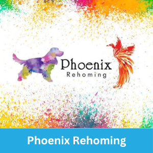 phoenix