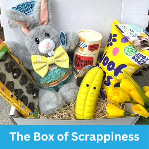 box of scrappiness
