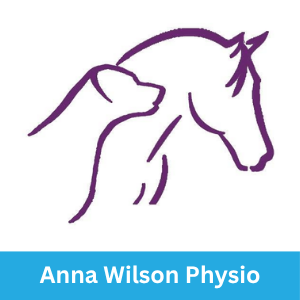 anna wilson