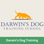 darwin