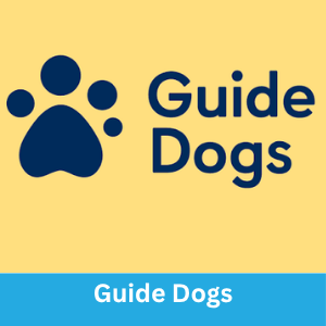 guide dogs