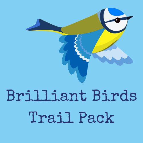 bird