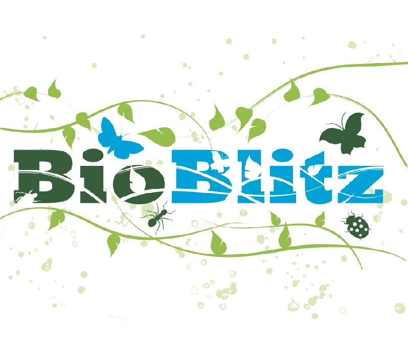 BIOBLITZ 