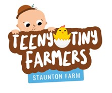 TTF