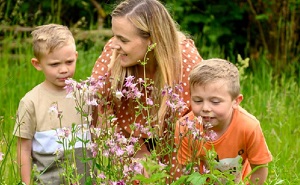 Fostering families buzzing as their Hampshire Hive support network turns one!