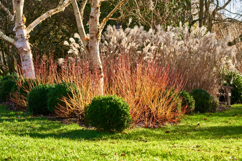 1 Jan 27 - New Years Day