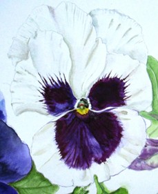 1 March - Introduction to Watercolour