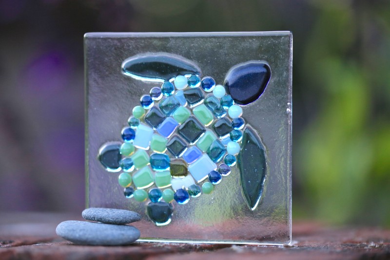 13 June - Sea Life and Seascapes