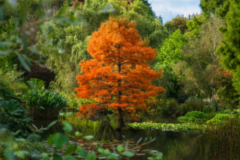3 Oct - Autumn Gardeners Breakfast-web