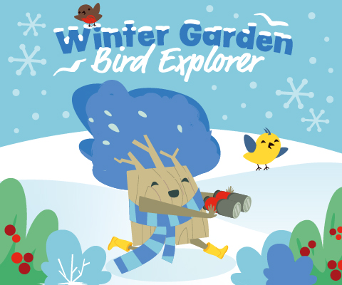 Bird Explorer
