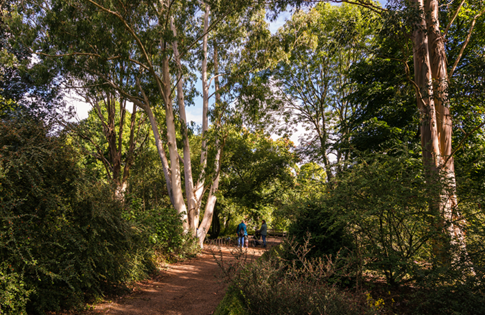 Guided Walks
