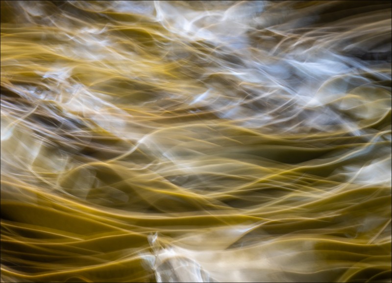 June - Paul Sansome Photography