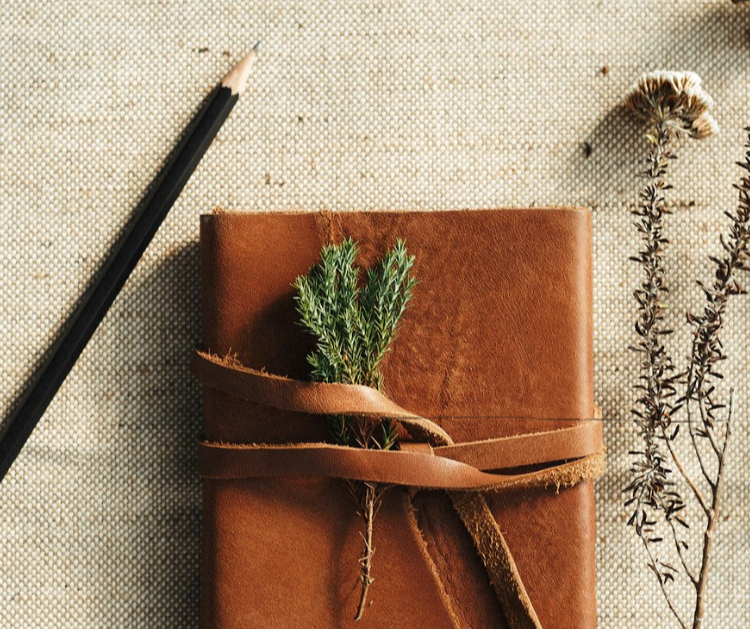 Nature Journaling