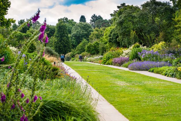 Perennial Borders