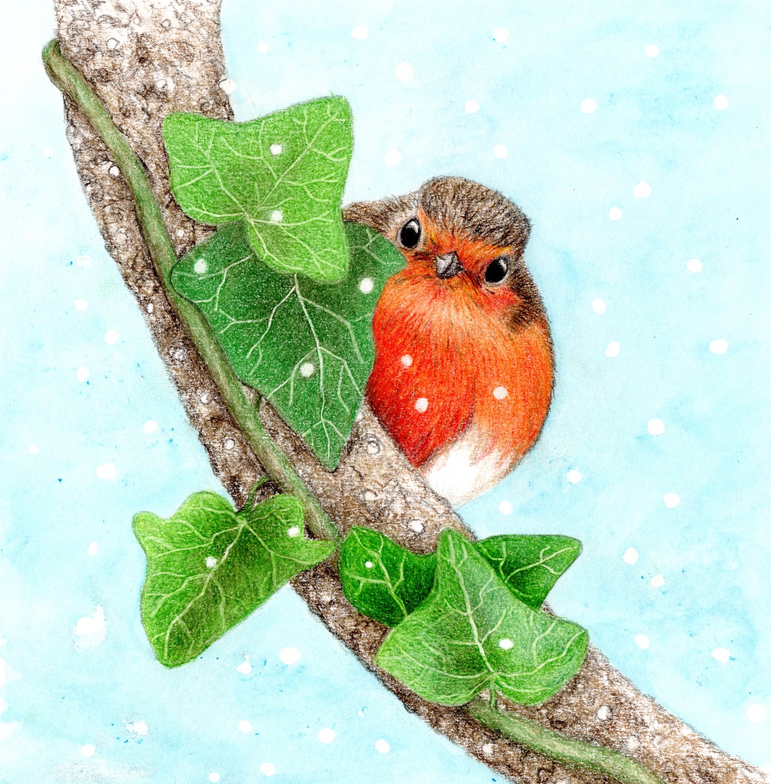 Robin Art Workshop 2026