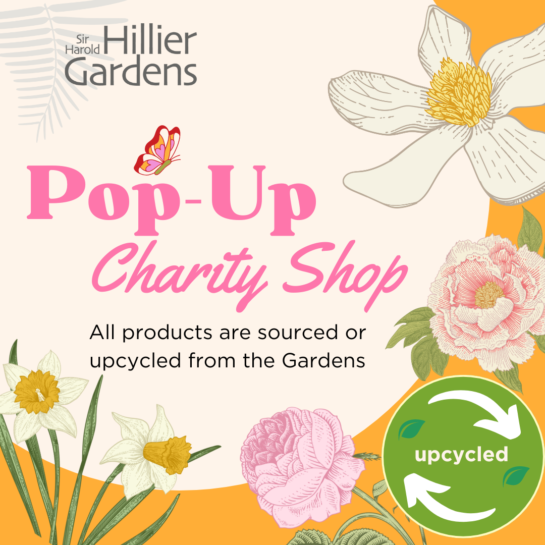 Spring Pop-Up Shop