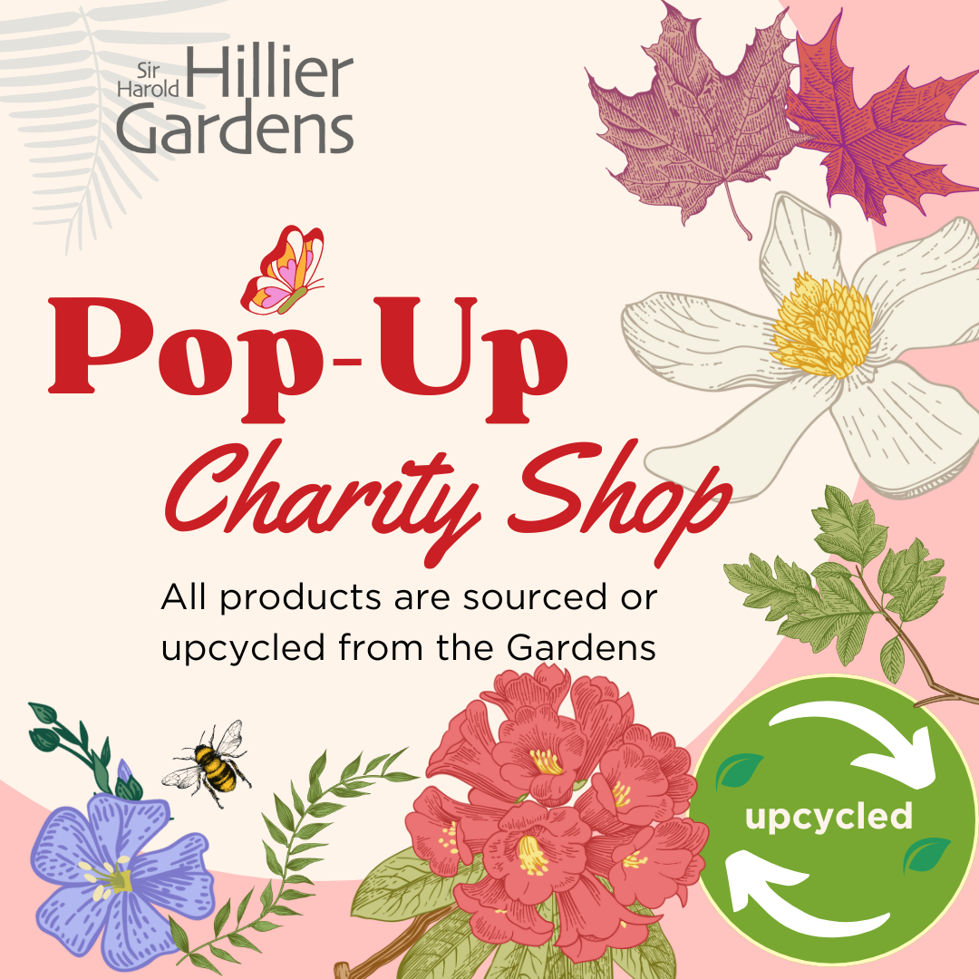 Summer Pop-Up Shop