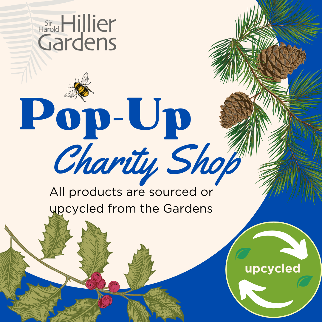 Winter Pop-Up Shop