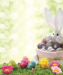 Easter bunny with chocolate eggs