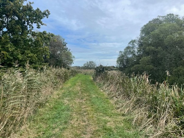 Grass footpath at Titchfield Haven