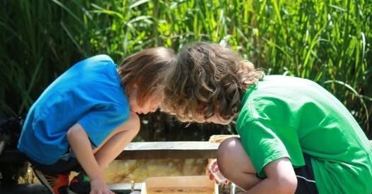 Two children crouched down looking into the pond