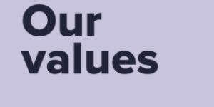 Our Values logo