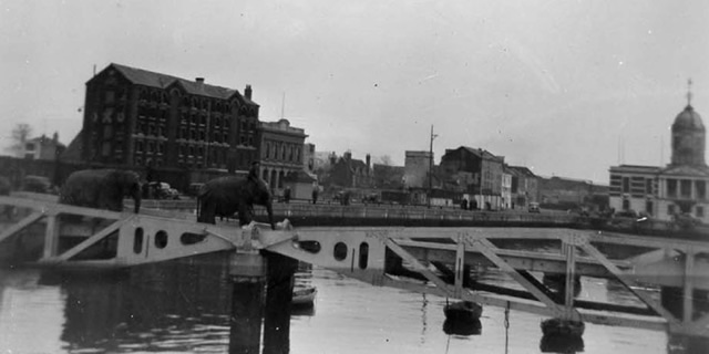Robert Bros elephants shipping to the Isle of Wight in 1954