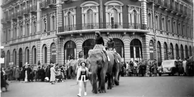 Chipperfields' elephants parading past the South Western Hotel in Southampton on 29 April 1956