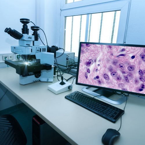 Microscope in research facility