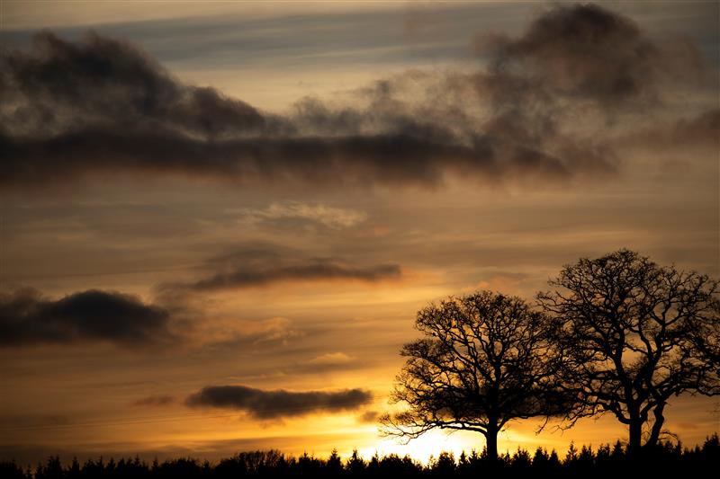Winter sun