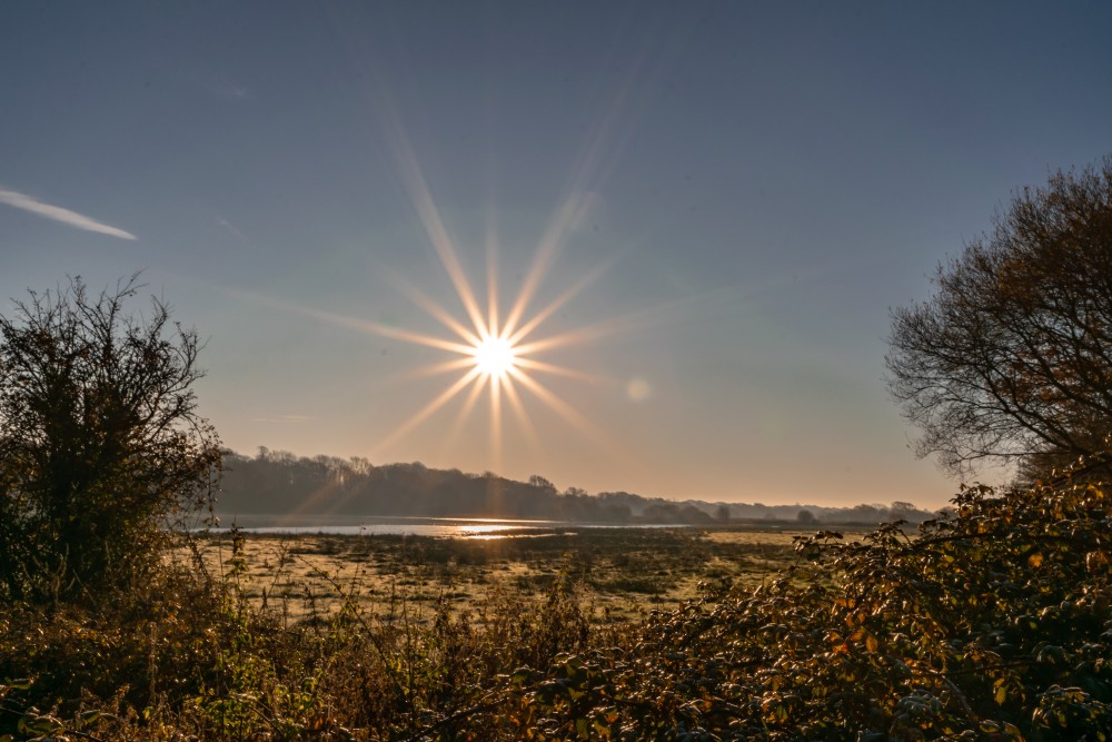 Winter sun over a nature reserve