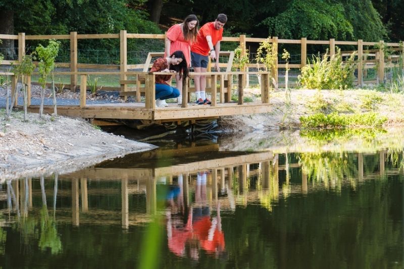 A group of people pointing at something they can see in a pond