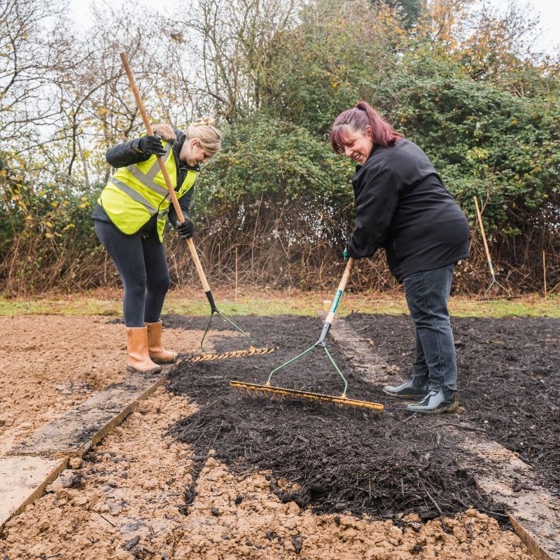 Two people raking soil