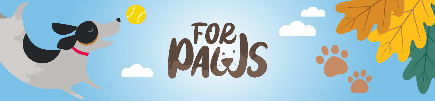 Four Paws