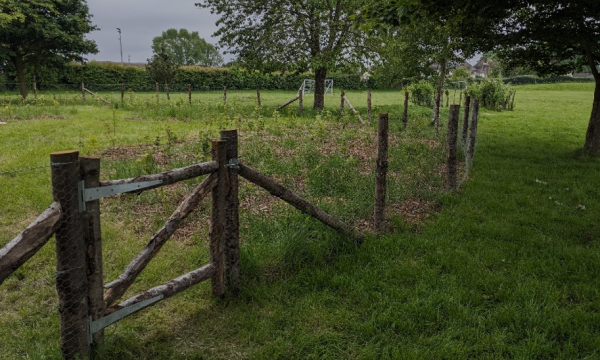 a 1.2m stock fence and gate surrounding the mini forest at Trosnant School