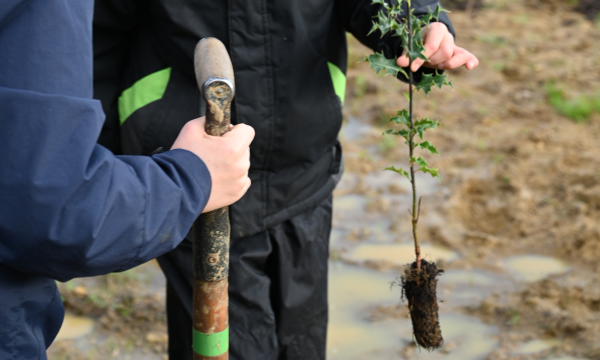 Young person holding a cell grown tree whip, ready for planting