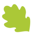 Oak leaf icon