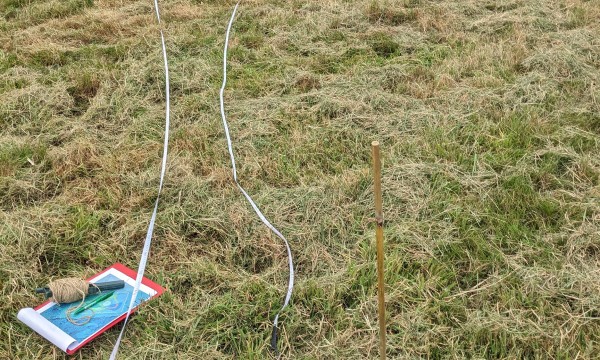 A field of grass with a tablet and a rope