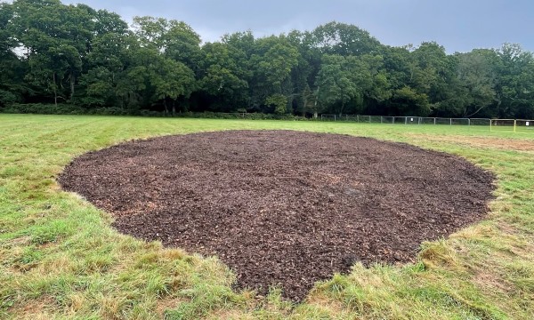 mulch