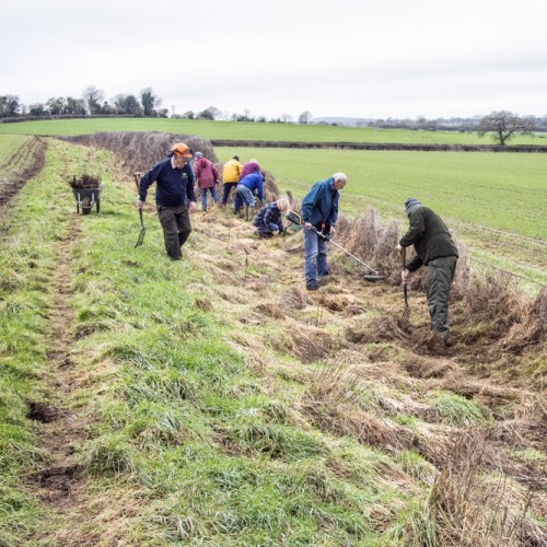 Group of people digging in a field