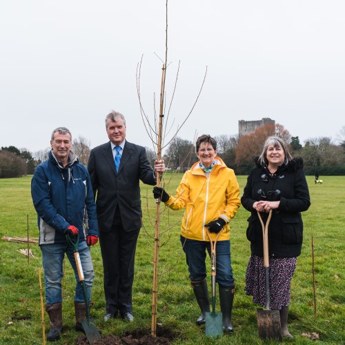 Group of people with a newly planted tree