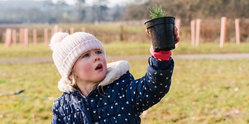 Child with a small plant in a pot ready for planting