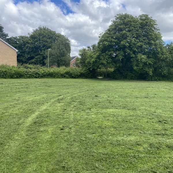 Grassy parkland surrounded by houses and trees