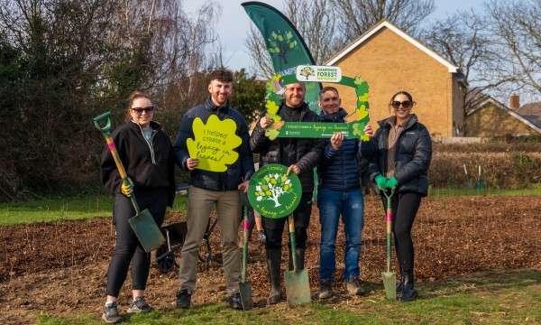 Group of adult volunteers at a mini forest planting event